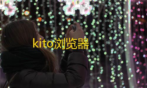 寂静直装v3.0正式版kito浏览器